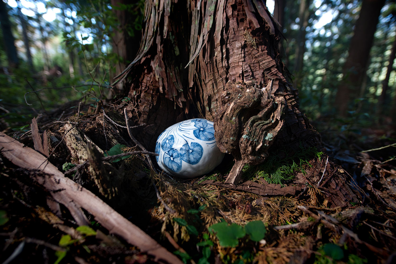 Gift to the Forest, 2018
